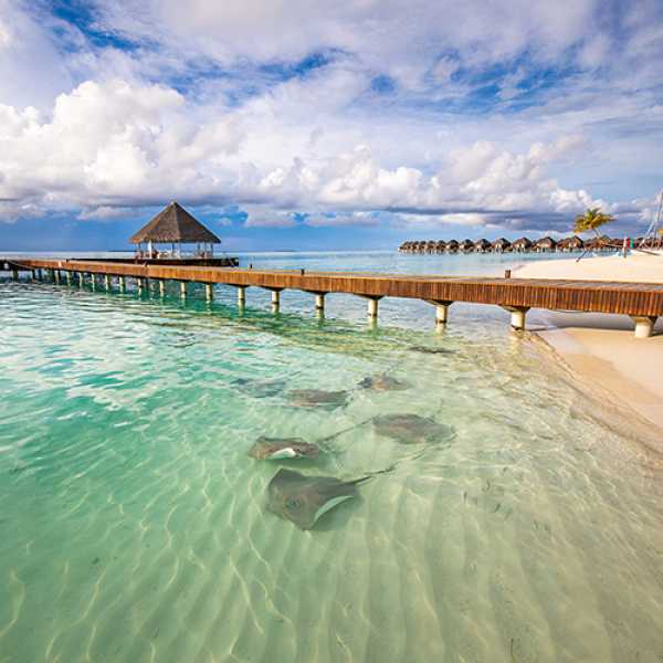 ТОП-7 бюджетных отелей для дайвинга и отдыха на Мальдивах