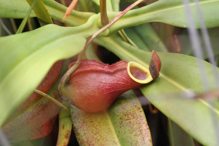 Отдых и дайвинг на Носи-Бе. 7 ночей