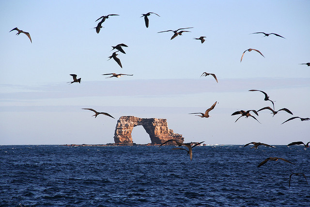 Галапагосы и острова Darwin и Wolf на борту Galapagos Aggressor III