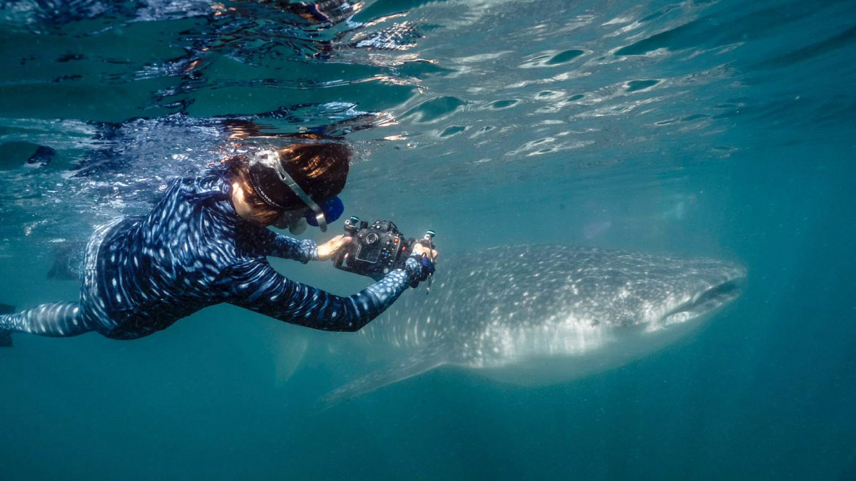 Сокорро - Мексиканские Галапагосы 10 ночей