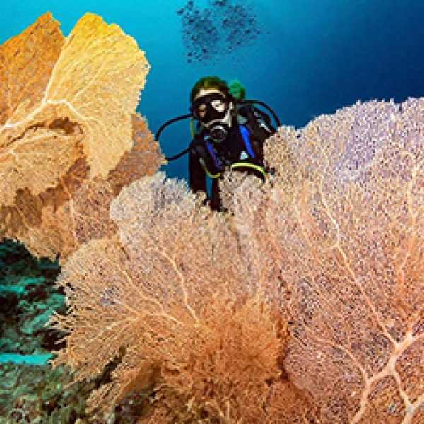 Лучшие локации Центральных атоллов