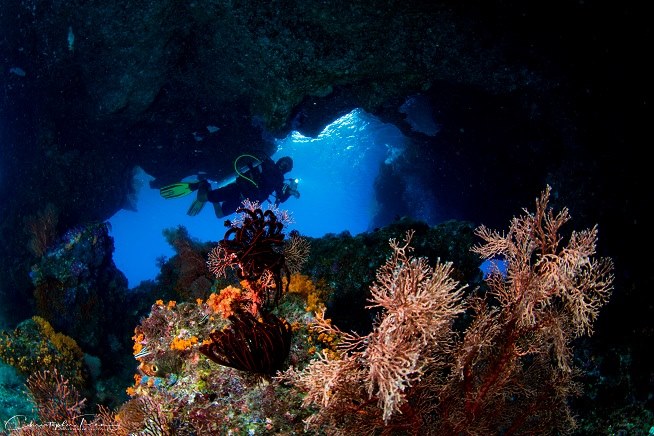 Остров Калимантан - сказочный мир Деравана. Дейли-дайвинг