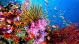 Незабываемые острова Миндоро и Верде и экскурсии по Пекину