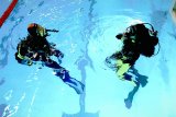 Начальный курс SSI Open Water Diver Refferal Закрытая вода (Индивидуальный)