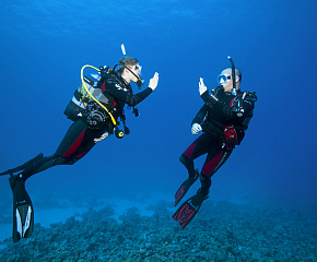 Пробное погружение SSI Try Scuba (Индивидуальное)