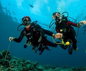 Курс SSI Open Water Diver Открытая вода (В поездке с клубом Крокодил)