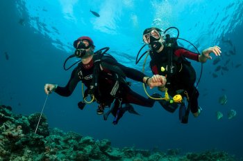 Курс SSI Open Water Diver Открытая вода (В поездке с клубом Крокодил)