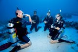 Курс SSI Open Water Diver Открытая вода (Групповой)