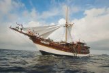 Amaya Explorer
