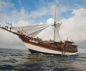 Amaya Explorer