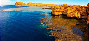 Клубный круиз по самым знаменитым рэкам Красного моря