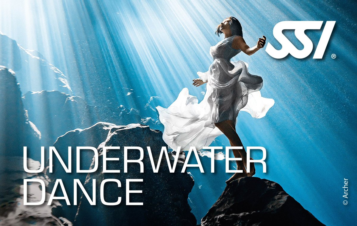 SSI Напечатанный пластиковый сертификат