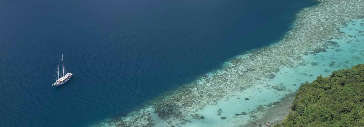 Новогоднее дайвинг сафари Раджа Ампат - 10 ночей на яхте класса ЛЮКС Scubaspa ZEN
