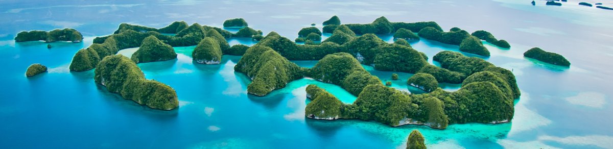 Удивительный мир Палау на борту Palau Aggressor II