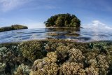 Дайвинг сафари по лучшим местам