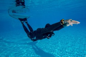 Базовый курс по фридайвингу SSI Basic Freediver (Индивидуальный)