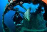 Подводные красоты островов Симилан и Сурин
