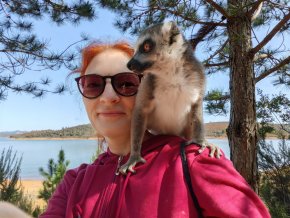 Полное олемуривание, дейли-дайвинг на Носи-Бе, аллея Баобабов, киты и Каменный лес VIP