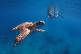 Similan & Surin: Магия тайских островов за 6 дней